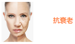 antiaging zh