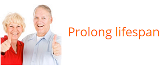 prolong lifespan 2